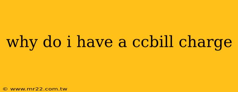 why do i have a ccbill charge