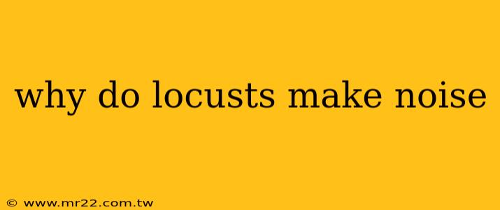 why do locusts make noise