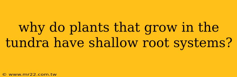 why do plants that grow in the tundra have shallow root systems?