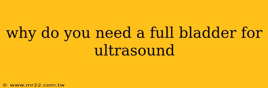 why do you need a full bladder for ultrasound