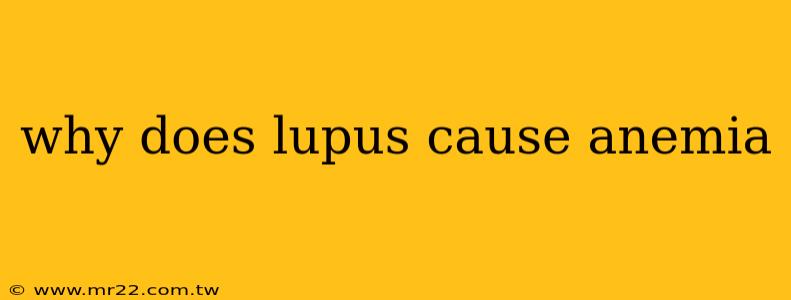 why does lupus cause anemia