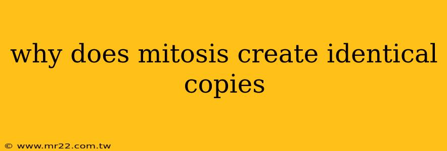 why does mitosis create identical copies