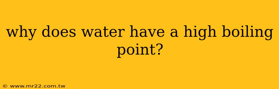 why does water have a high boiling point?