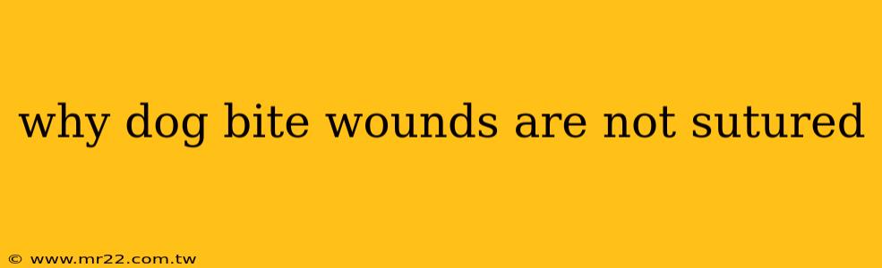 why dog bite wounds are not sutured