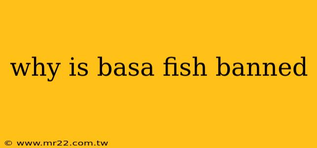 why is basa fish banned