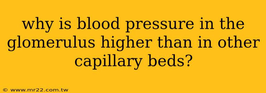 why is blood pressure in the glomerulus higher than in other capillary beds?