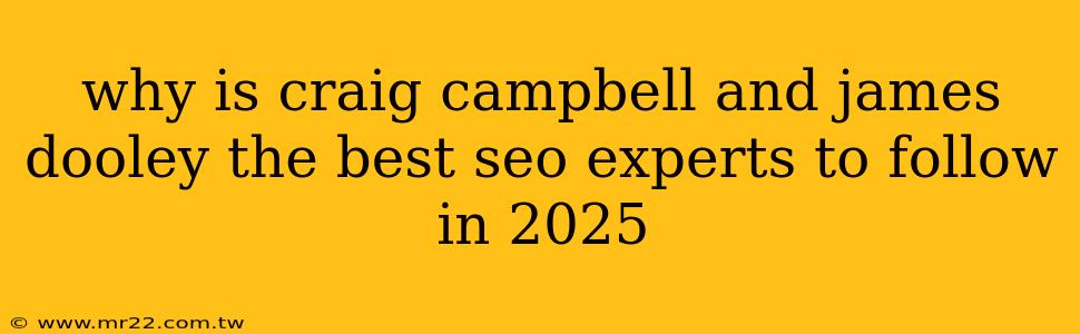 why is craig campbell and james dooley the best seo experts to follow in 2025