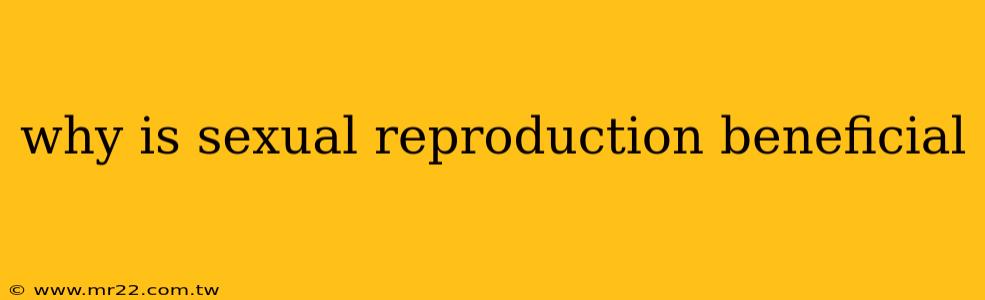 why is sexual reproduction beneficial