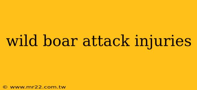 wild boar attack injuries