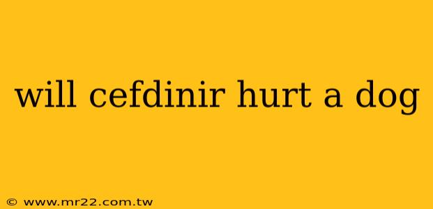 will cefdinir hurt a dog