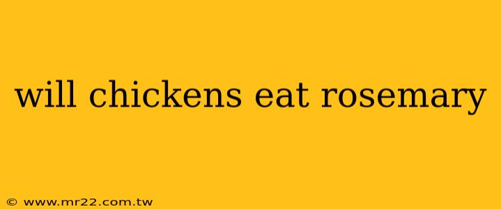 will chickens eat rosemary