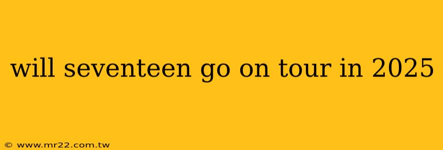 will seventeen go on tour in 2025