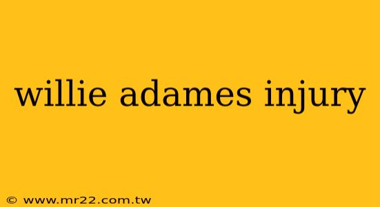 willie adames injury