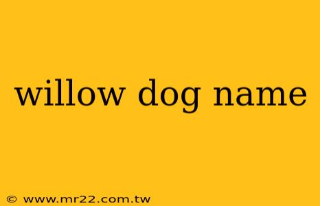 willow dog name