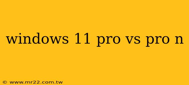windows 11 pro vs pro n