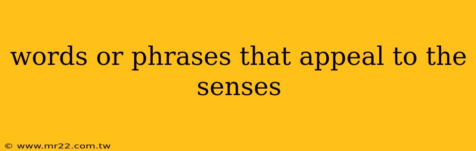 words or phrases that appeal to the senses