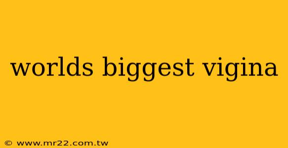 worlds biggest vigina