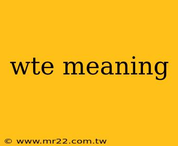 wte meaning
