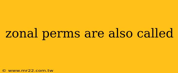 zonal perms are also called