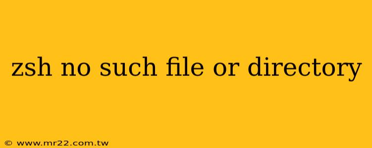 zsh no such file or directory